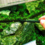 Steel Wire Brush Aquarium Algae Cleaning Brush Nylon Brush Aquarium Cleaner Fish Tank Stain Cleaning Tools Accessories