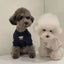2023 New Spring Summer Pet Clothes Bear Pattern Sweater And Comfortable Puppy Clothes Teddy  Hiromi For Small And Mid Sizes Dogs