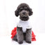 Cute Lace Princess Dog Tutu With Bow - Red, Yellow, Green