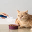Dog Food Scoop Cat-Ear Shape Food Scoopers Kitten Food Measuring Cups Clear Convenient Scoops Bag Sealing Clip for Dry Dogs