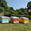 Hot Sale Thermo Insulated Beehive HDPE One-Layer Langstroth Plastic Bee Hive for Beekeeper