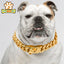 Silver Metal Dog Collar with Solid Buckle, Stainless Steel Pets Link Chain, Golden Necklace for Small Medium and Large Dogs Usag