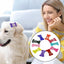 10pcs Bone Hair Clips Non Slip Dog Bone Pet Hair Clip Hairclips Metal Barrettes  Hair Accessories for Cosplay Party Pet Dogs and