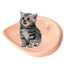 Suction Cup Cat Bed Window Indoor Cat Perch Seat Hammock Suction Cup Design Cat Shelves For Marble Smooth Glass And Sheet Metal