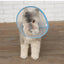 Pet Recovery Dog Cones Cat Cones After Surgery Adjustable Breathable Dog Cone Collar Soft Plastic Puppy Elizabethan E-Collar