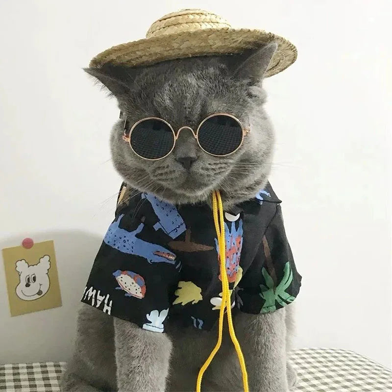 Anti-slip Cat Sunglasses Pet Accessories Small Dog Sun Glasses Classic Retro Circular Glasses for Kitten Photos Props Cosplay