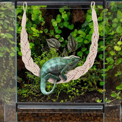 Hermit Crab Toys Hermit Crab Toys Reptile Tank Terrarium Accessories Reptile Tank Terrarium Accessories Hermit Crab Climbing