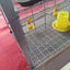 H Type Broiler Cage 4 Tiers Large Capacity 80 Pieces Length 1.4 Metres Width 70 Cm Strong and Durable for Sadio
