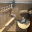 Wall Mounted Cat Climbing Wood Shelves Furniture Cat Bridge and Cat Hammock or Platform with Pedals for Kitten Perch and Rest