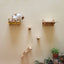 Wall Mounted Cat Climbing Shelves Cat Hammock with Ladder Cat Scratching Post and Jumping Platform for Wall Cat Playground