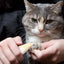 Paw Trimmer For Dogs Dog Paw Pad Trimmer With Led Auxiliary Lighting Noise-Free Led Auxiliary Lighting Paw Pad Trimmer For Cats