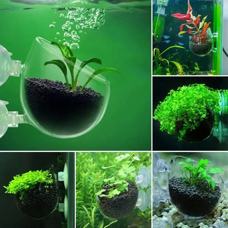 Aquarium Decoration Plant Cup Pot Acrylic Aquatic Plant Cup With Suction Holder Planting Cylinder Cup Water Plant  Accessories