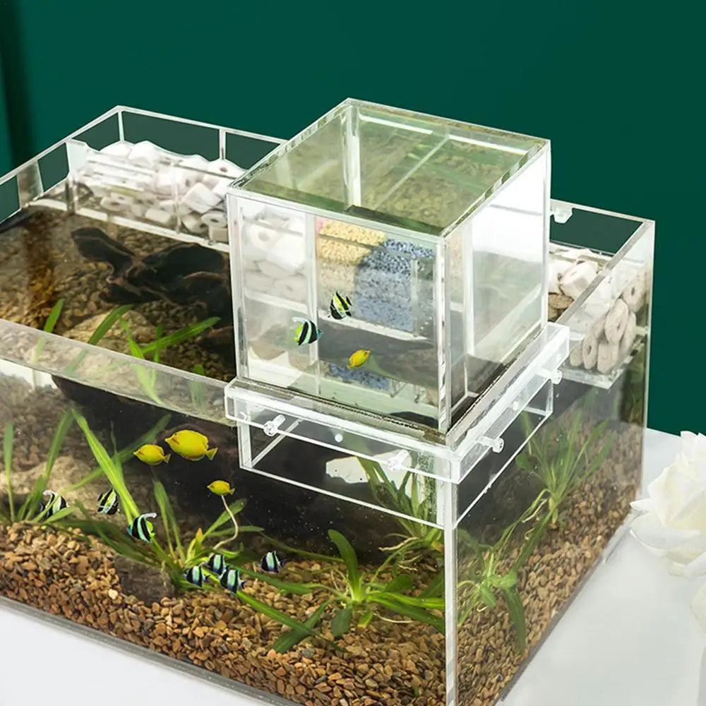 Fish Aquarium Tank Small Transparent Fish Elevator Tank Lightweight Acrylic Inverted Above Water Fish Tank Aquariums Fish Bowls