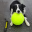 Giant Tennis Ball For Dog Chew Toy Pet Dog Interactive Toys Big Inflatable Tennis Ball Pet Supplies Outdoor Cricket Dog Toy