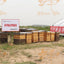 3 Layer or 2 Layer 10 Frame Langstroth Insulated Plastic Beehive Bee Hives