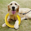 Dog Toys Pet Flying Disk Training Ring Puller Anti-Bite Floating Interactive Supplies Dog Toys Aggressive Chewing Toy