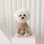 Dog Clothes Autumn Winter Fashion Dog Undershirt Soft Cotton Thin Puppy Hoodie Chihuahua French Bulldog Bichon Costume Pet Vest