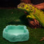 Luminous Water Bowl Reptile Feeding Dish Amphipod Turtle Feeder Pet Supplies Reptiles Incubator Shine Leopard Print