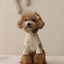 Autumn Winter Fashion Dog Vest Dog Warm Clothes Thin Dog Hoodies  Pet Coat Chihuahua Bichon Small Dog Costume Fleece Dog Pajamas