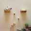 Wall Mounted Cat Climbing Shelves Cat Hammock with Ladder Cat Scratching Post and Jumping Platform for Wall Cat Playground