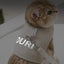 Luxury Dog Harness and Leash Set Canvas Reflective Adjustable Dog Harness Vest Dog Walking Accessories Kitten Puppy Harnesses