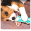 Dog Toy Teething Stick Chewable Teeth Cleaning Bones Dog Toothbrush TPR Safe Puppy Dental Care Cleaning Toys Supplies