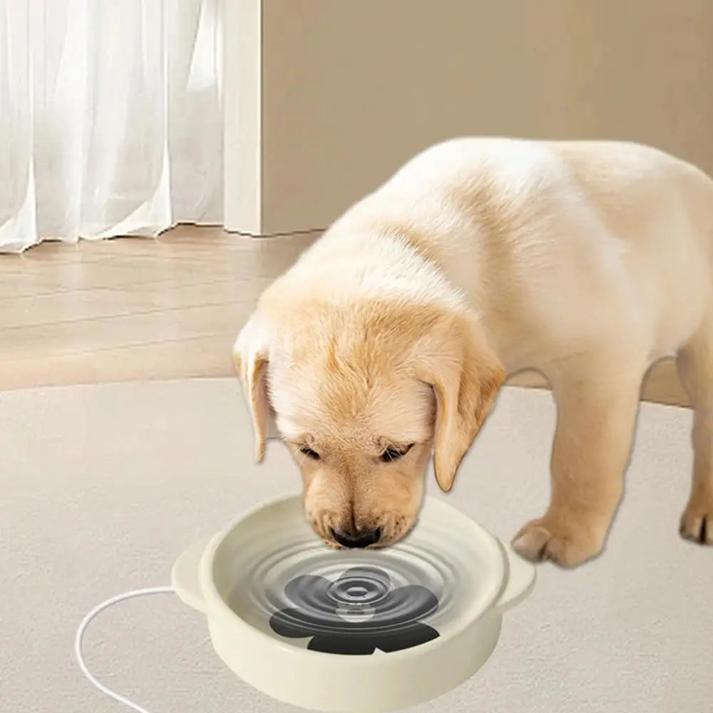 Heated Pet Water Bowl Outdoor Pet Heated Waterer 15W Thermostatic Control Ceramic Travel-Friendly Anti-slip Heated Pet Bowl