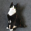 50cm Cute Lifelike 3D Cat Dog Plush Toys Stuffed Soft Animal Doll Simulation Sleep Pillow Sofa Cushion Home Decor Gift