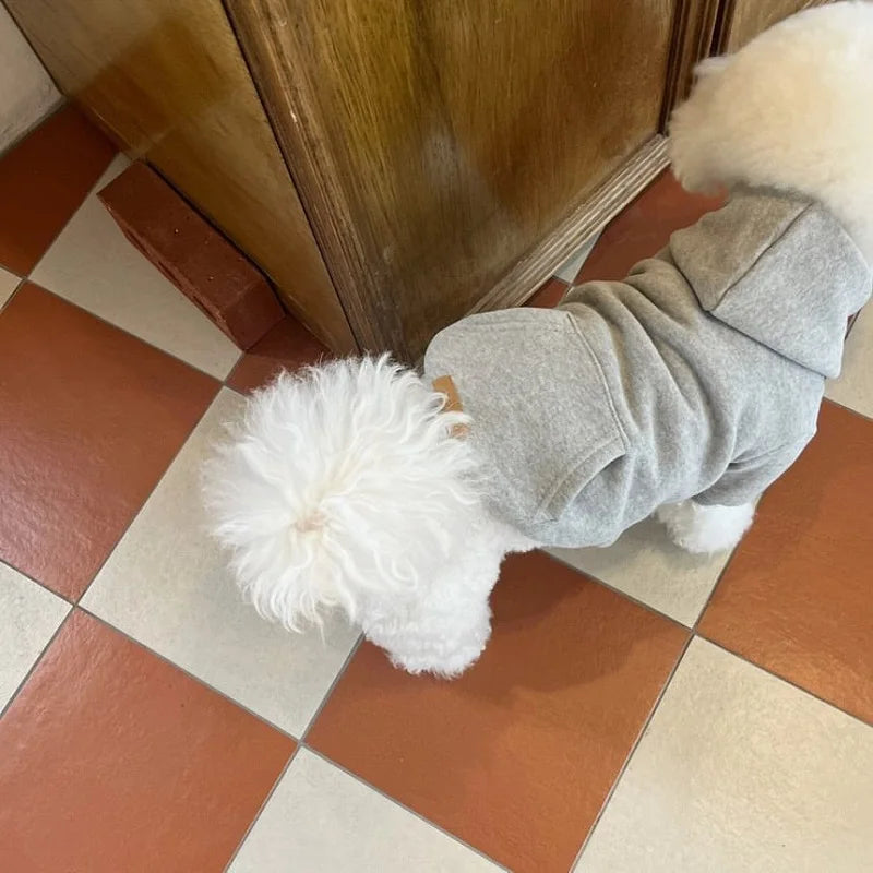 Autumn Winter Dog Clothes Thin Plush Hoodie Teddy Bear Schnauzer Coat Pet Cat Small Dog Clothes for Small Dogs Puppy Sweatshir