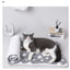 Flannel Pet Sleeping Mat Dog Bed Cat Litter Puppy Bed Dog Sofa Lovely Mattress Cushion for Small Large Dog Blanket Pet Supplies