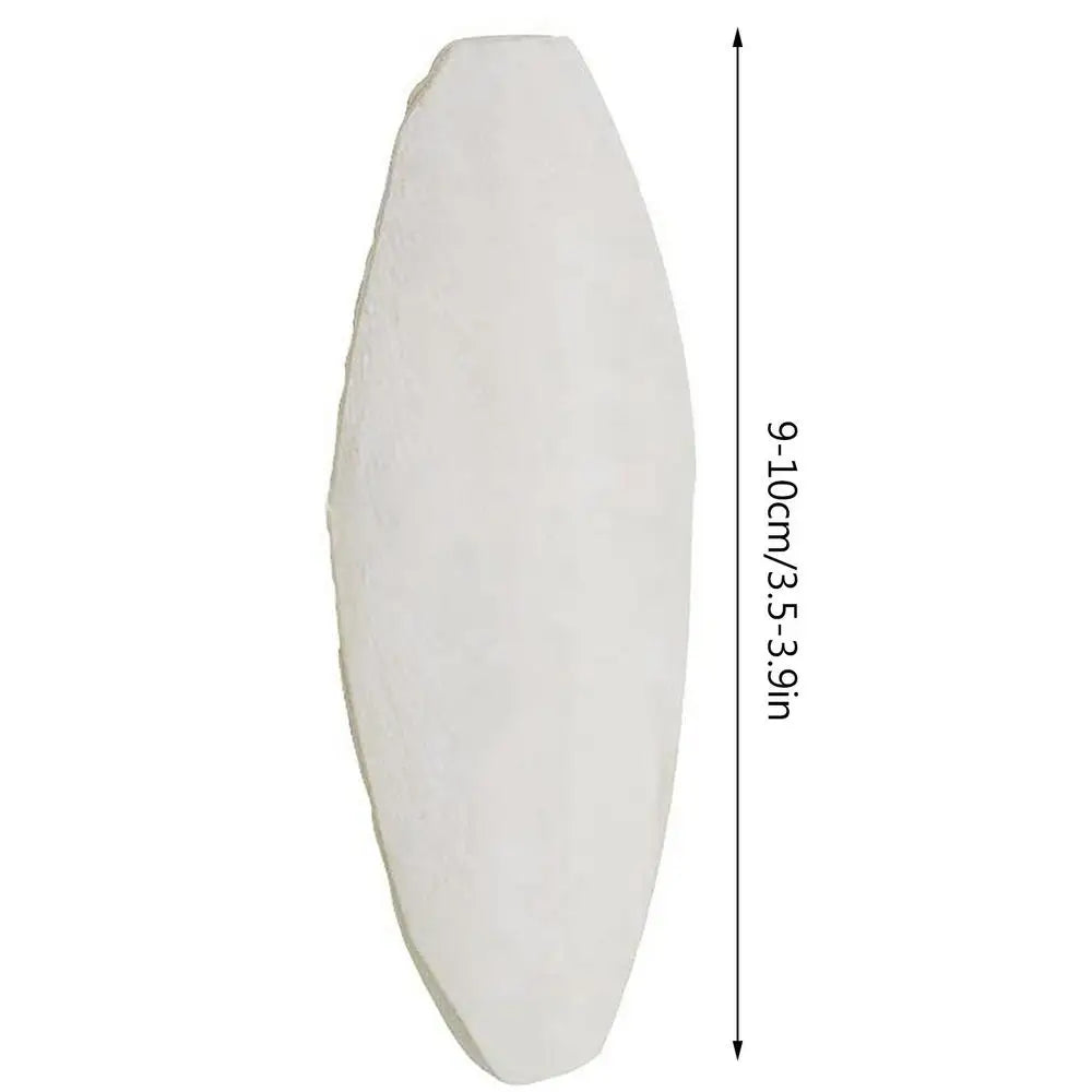 10pcs Cuttlefish Bone For Birds Natural Cuttlefish Bone Parrot Chewing Cuttle Bone Health Supplies Cuttlefish Bone Bird Food