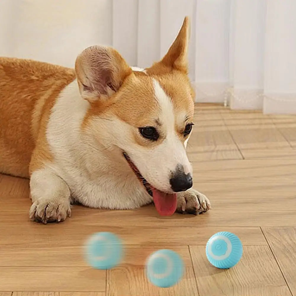 Interactive Ball For Dogs Electric Dog Toys Automatic Rolling Motion Activated Dog Balls 2 Modes Moving Dog Products Active