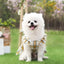 Plaid Dog Dress Cute Princess Dresses Cat Plaid Vest Small and Medium-sized Pet Clothing Classical Style Printed Pattern Clothes