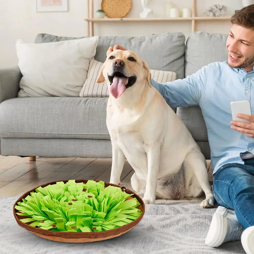 Pet Dog Sniffing Mat Anti-Slip Pet Foraging Mat Interactive Sniff Mat Flower-Shaped Feeding Puzzle Toy Sniffing Interactive