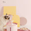 2.4L Pet Cat Dispenser Drinking Water Fountain Activated Carbon Filters LED Automatic Feeder Container USB Interface