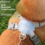 New breathable pet chest harness vest style reflective dog leash pet leash