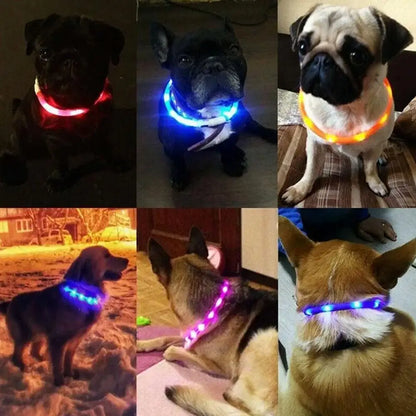 50cm LED Luminous Dog Collar Waterproof And Dustproof Visual Night Dog Walking To Prevent Lost Creative Color Dog Sub-sign Light