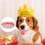 Pet CorgiDog False Teeth Toy Rabbit Front BuckTeeth Cover Funny Puppy Dentures Pet Decorating Cosplay Halloween Costume