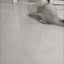 Cat Interactive Ball Smart Pet Cat Toys Indoor Automatic Rolling Magic Ball Electronic Interactive Cat Toy Cat Game Accessories
