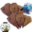 Terminalia Catappa Leaves Betta Shrimp Leaves PH Balance Water Conditioner for Aquarium Turtles Shrimps Habitat Accessory