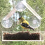 Acrylic Bird Feeder Clear Window Outside Hanging Bird Feeder House with Suction Cup for Garden Outdoor Backyard Wildlife Birding