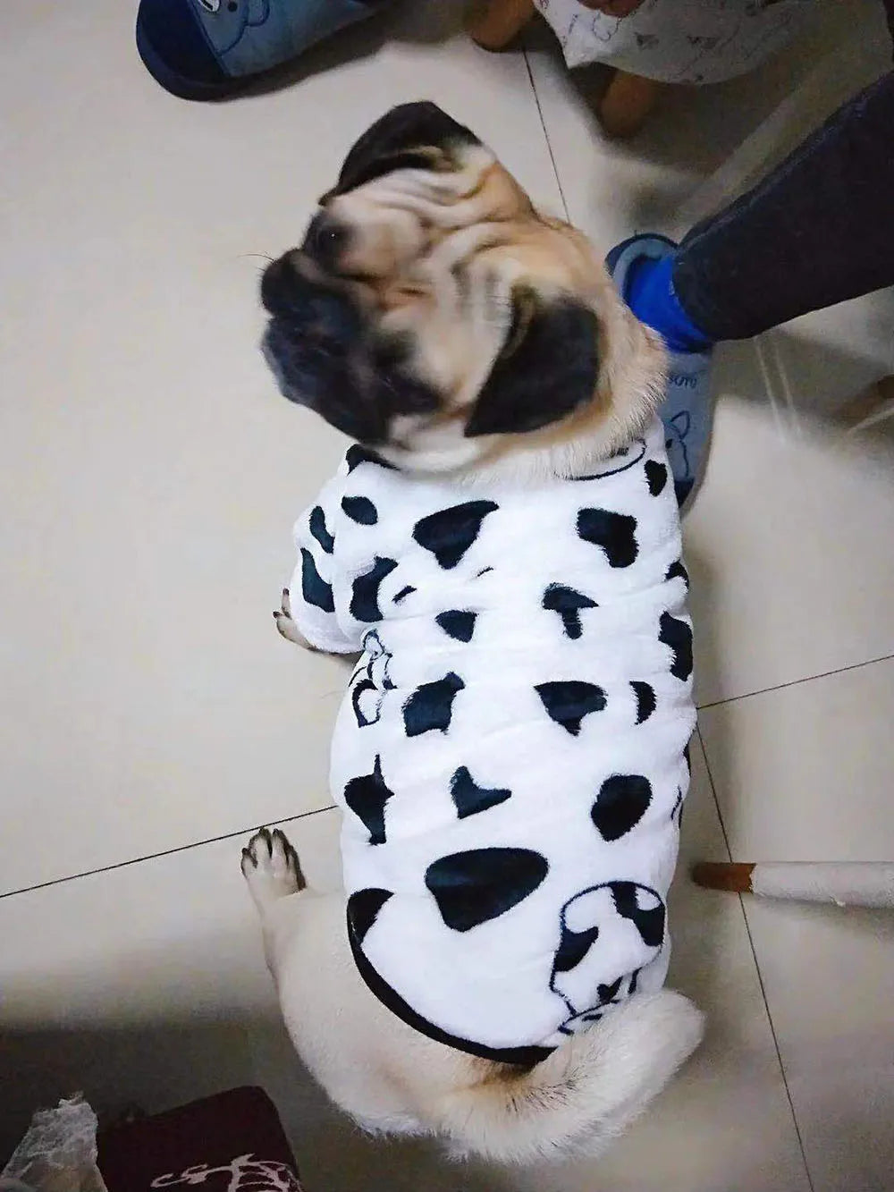 Warm Pet Clothing for Winter Soft Coral Fleece Dog Hoodies Cute Printed Puppy Small Dog Sweater French Bulldog Coat Cats Clothes