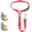 Pet car seat belt rope, circular ring, dog car retractable elastic reflective belt, dog towing rope