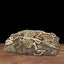 1pcs Aquarium Decorations Resin Fossil Artificial Fish Tank Ornament Shrimps Small Fish Reptile Aquarium Shelter Landscape Decor