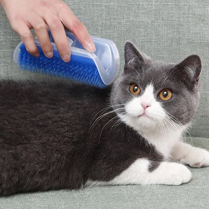 2/1PCS Pet Brush Comb Play Cat Toy Softer Cat Self Groomer Massage Comb with Catnip Face Scratcher for Kitten Puppy Cat Clean