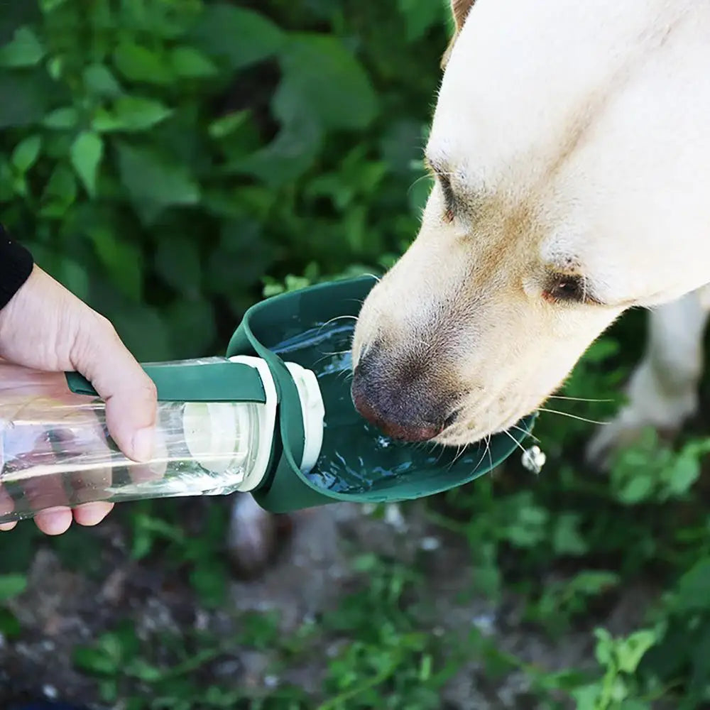Portable Dog Water Bottle 300ml Leakproof Dog Drinking Bottle Dog Water Bottle Travel For Walking Hiking Camping Picnicking