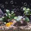 UXCELL Aquarium Artificial Plants Simulation Water Weeds Decorative Aquarium Decor Sets for Fish Tank Decoration Accessories