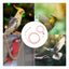 Detachable Bird Foot Chain Outdoor Parrot Pet Flying Rope Biting-Resistant Bird Training Toy With Ankle Foot Ring For Terrace