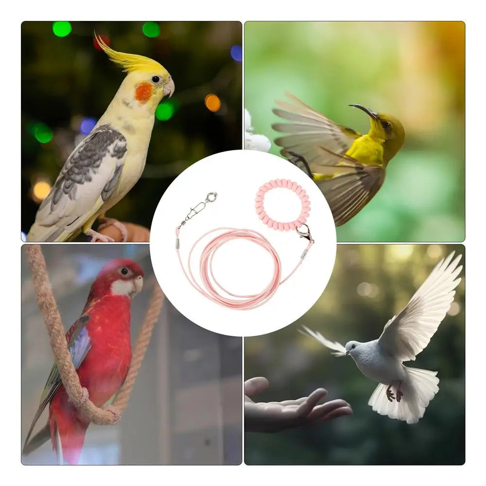 Detachable Bird Foot Chain Outdoor Parrot Pet Flying Rope Biting-Resistant Bird Training Toy With Ankle Foot Ring For Terrace