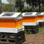 Automatic Self-Flowing Bee Hive Apiculture Beekeeping Beehive Bee Hive Ten Boxes Standard Fully Automatic Intelligence